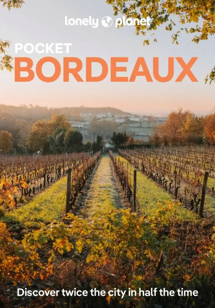 Bordeaux Pocket af Nicola Williams