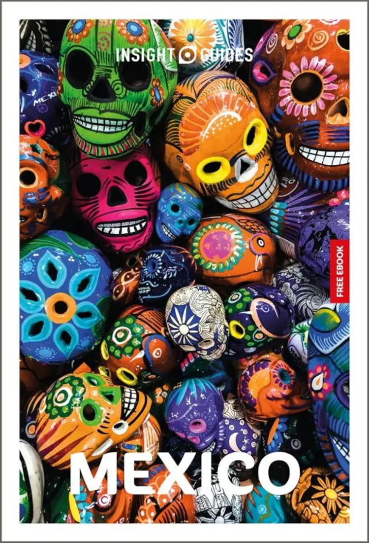 Mexico af APA Publications
