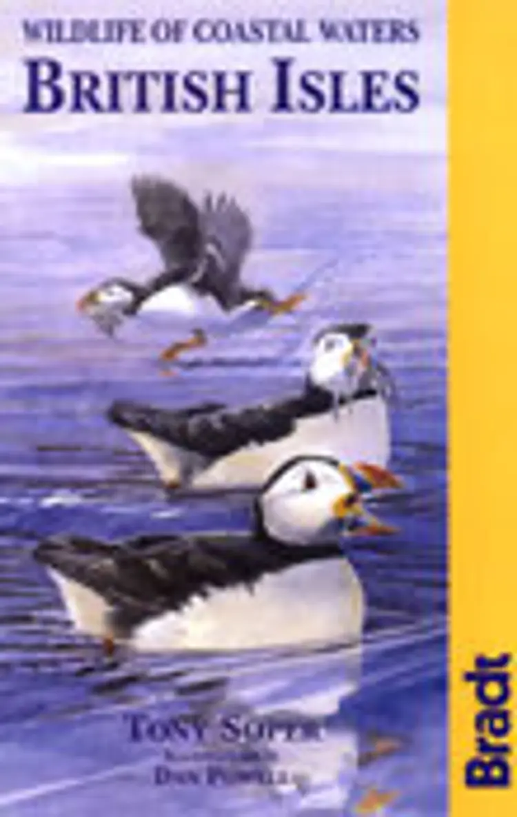 Wildlife of Coastal Waters British Isles af Tony soper