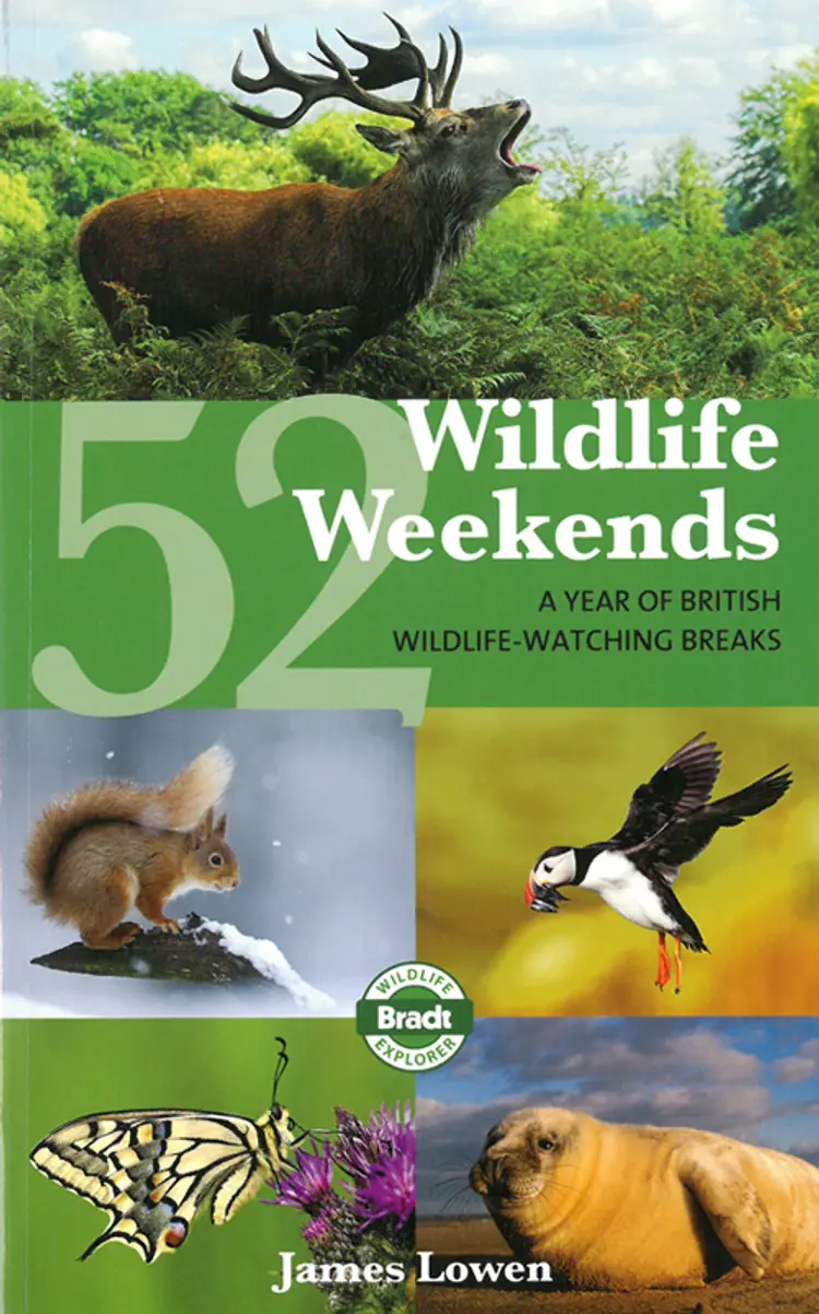 52 Wildlife Weekends: A Year of British Wildlife-Watching breaks af James Lowen