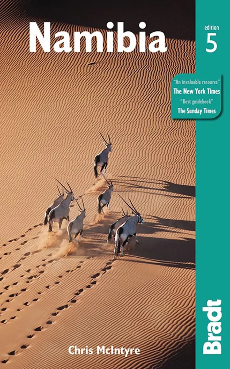 Namibia af Chris McIntyre