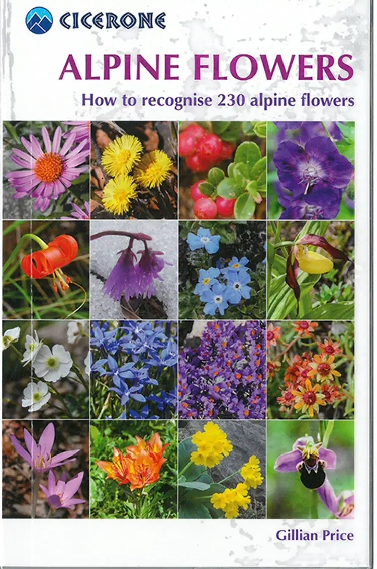 Alpine Flowers af Gilian Price