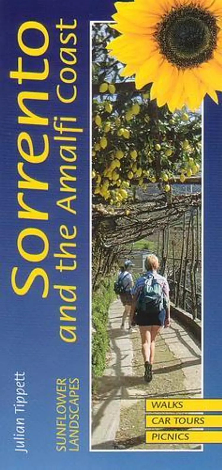 Sorrento, Amalfi & Capri af Julian Tippett
