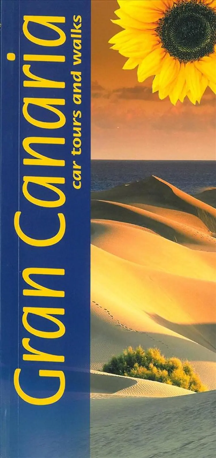 Gran Canaria af Noel Rochford