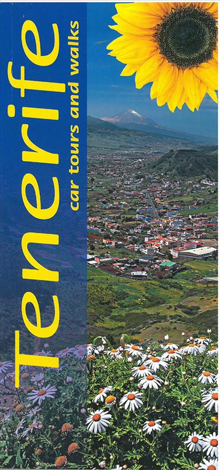 Landscapes of Tenerife: Car Tours and Walks af Noel Rochford