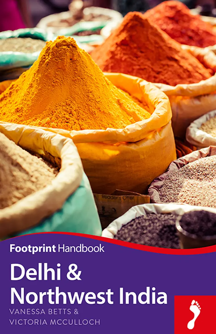 Delhi & Northwest India Handbook af Venessa Betts