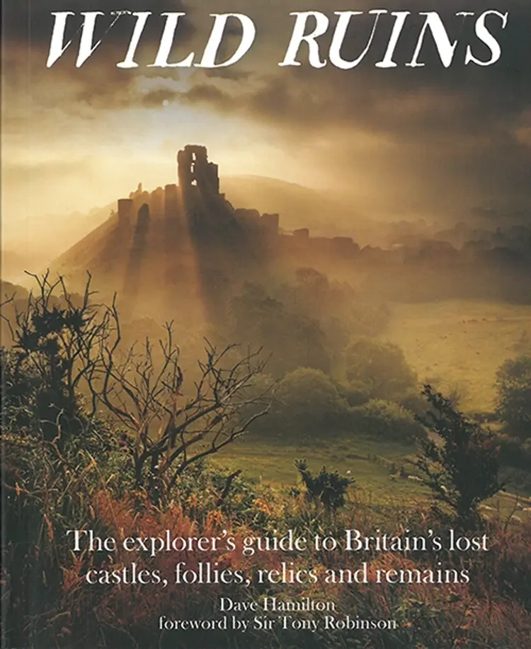 Wild Ruins af Dave Hamilton