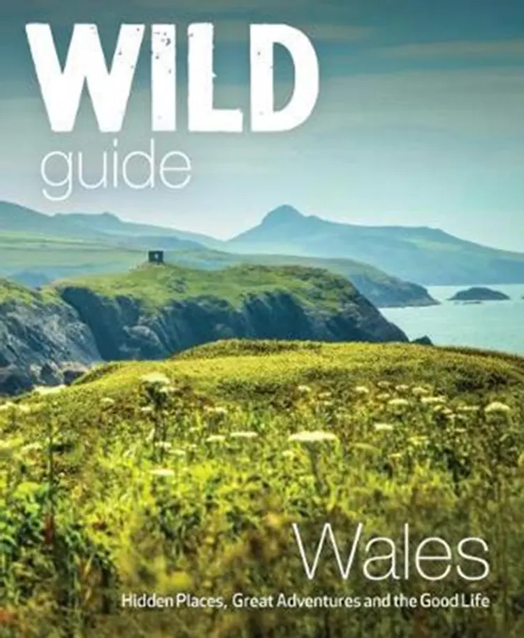 Wild Guide Wales and Marches: Hidden places, great adventures & the good life in Wales af Daniel Start