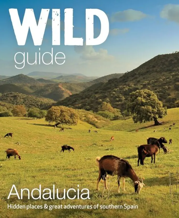 Wild Guide Andalucia: Hidden Places & great adventures in southern Spain af Edwina Pitcher