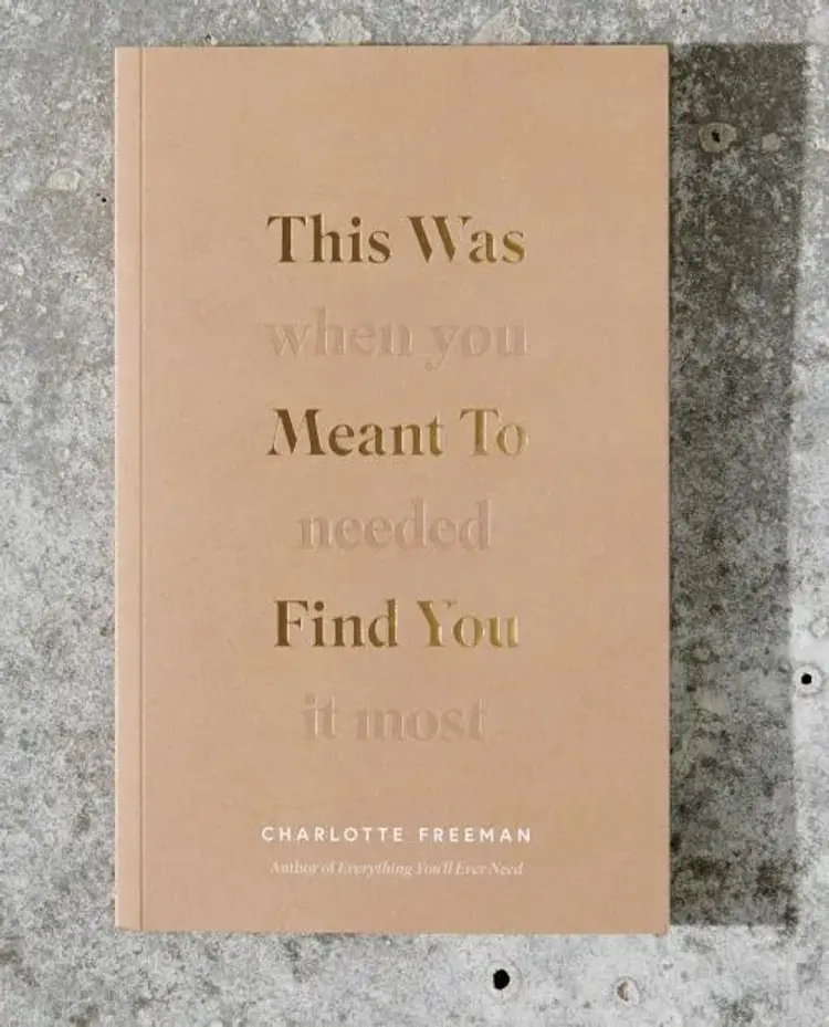 This Was Meant to Find You: When You Needed It Most af Charlotte Freeman
