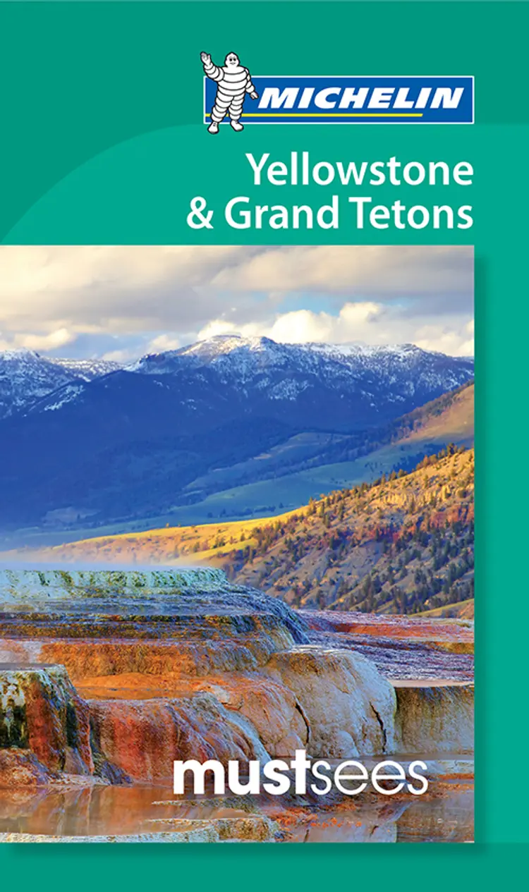 Yellowstone & Grand Teton