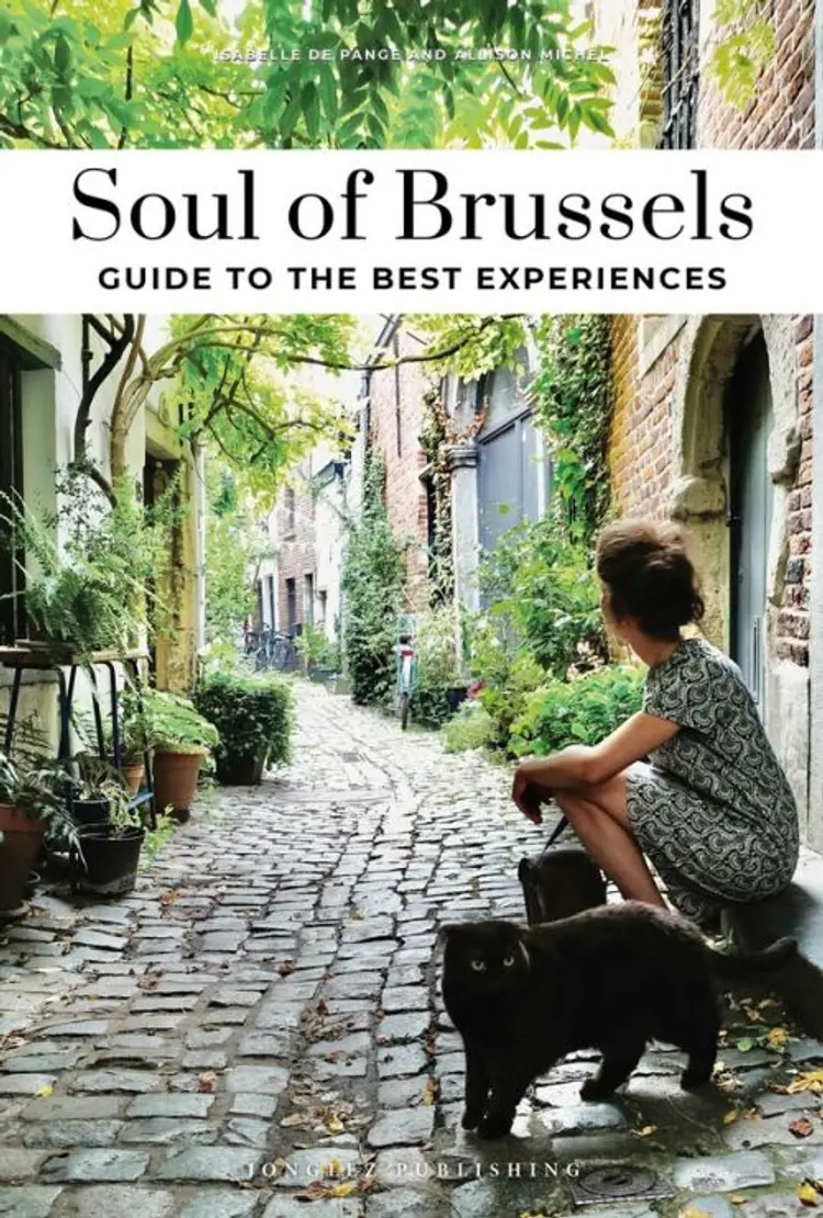 Soul of Brussels af Allison Michel