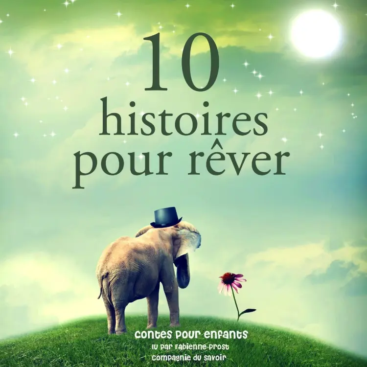 10 histoires pour rêver af Charles Perrault