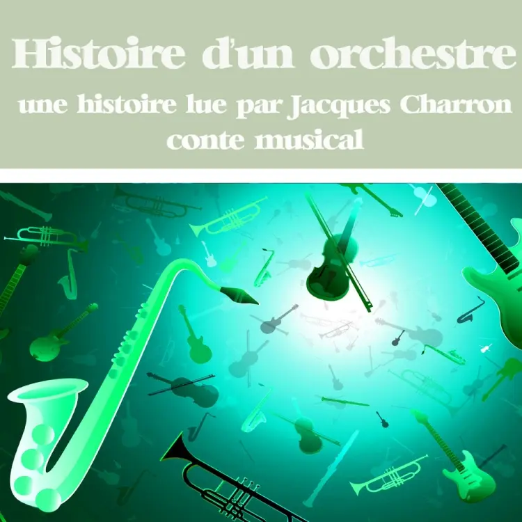 Histoire d'un orchestre af Various