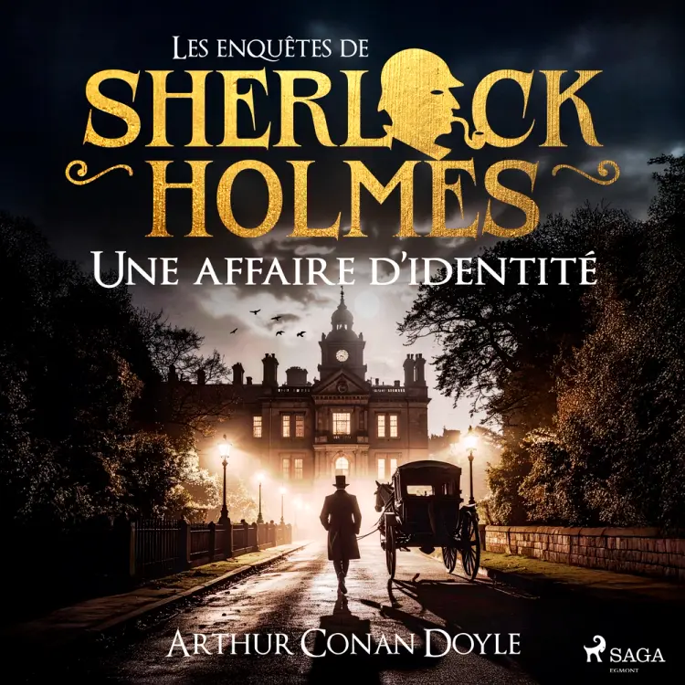 Une affaire d'identité af Arthur Conan Doyle