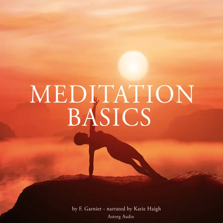 Meditation Basics af Frédéric Garnier