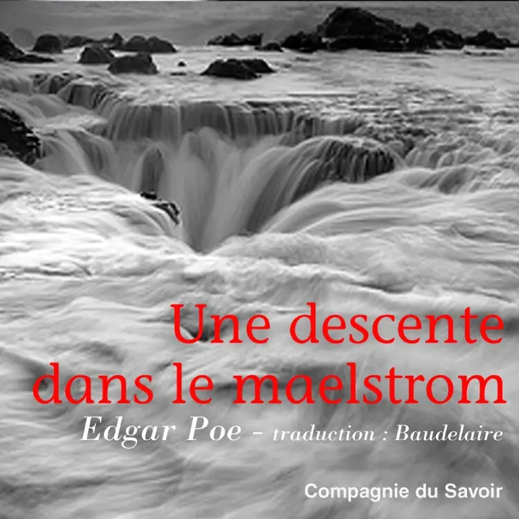 Une descente dans le Maelstrom af Edgar Allan Poe