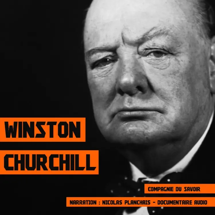 Winston Churchill, une biographie af John Mac