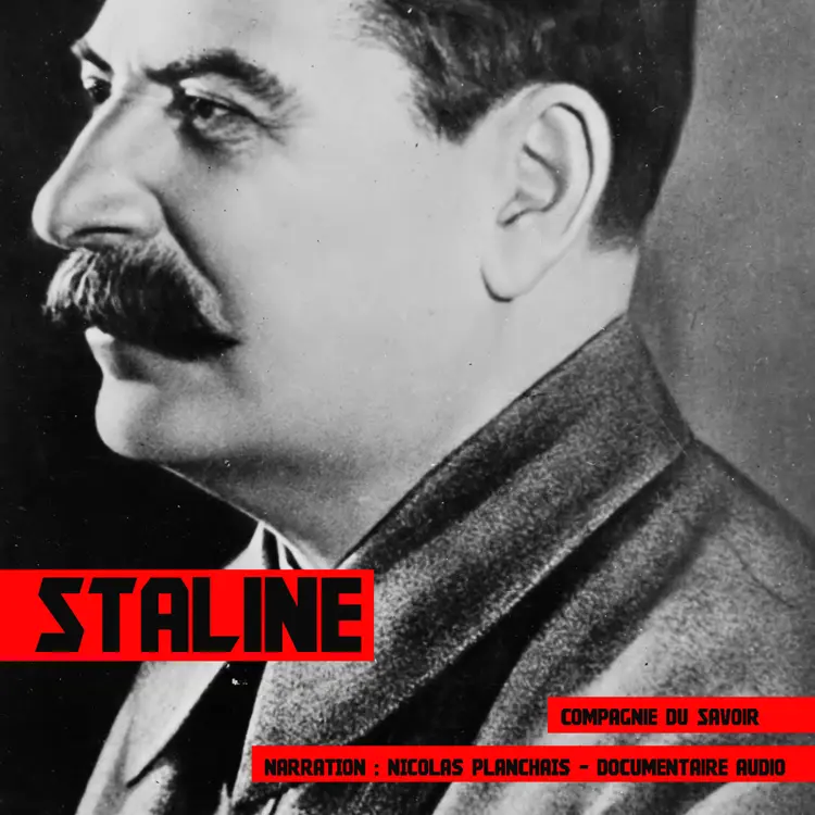 Staline, une biographie af John Mac
