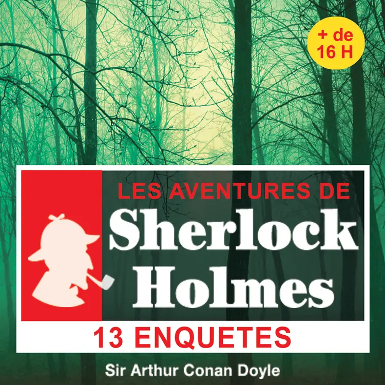 13 enquêtes de Sherlock Holmes af Arthur Conan Doyle