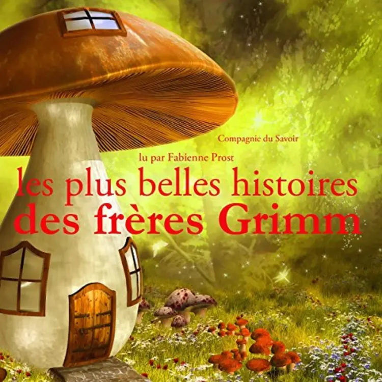 Les Plus Belles Histoires des frères Grimm af Frères Grimm