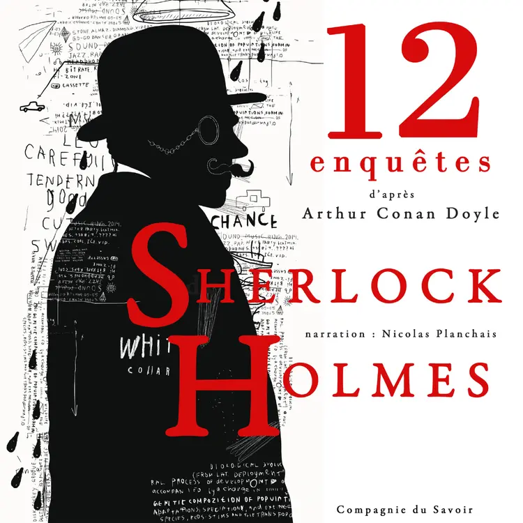 12 nouvelles enquêtes de Sherlock Holmes et du Dr Watson af Arthur Conan Doyle