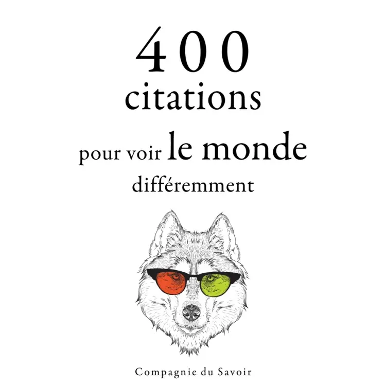 400 citations pour voir le monde différemment af Bruce Lee