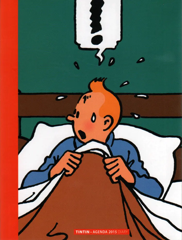 Tintin Agenda 2015 Diary af Hergé
