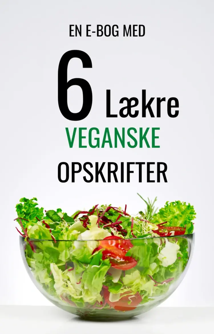 6 Lækre Veganske Opskrifter af Larsen