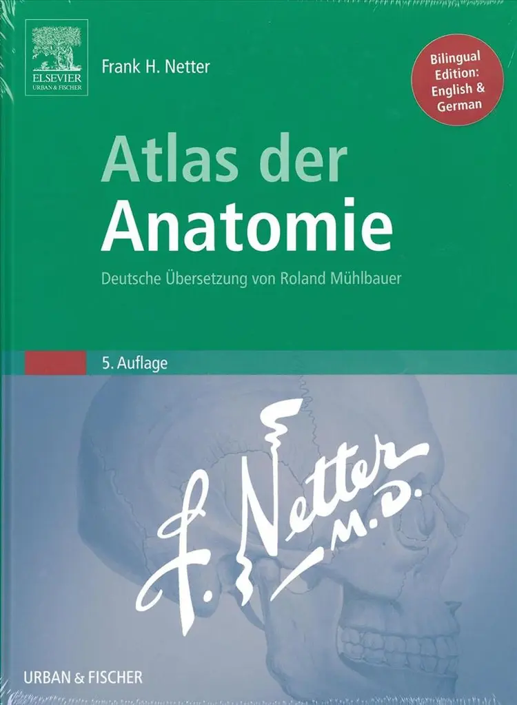 Atlas der Anatomie af Frank Netter