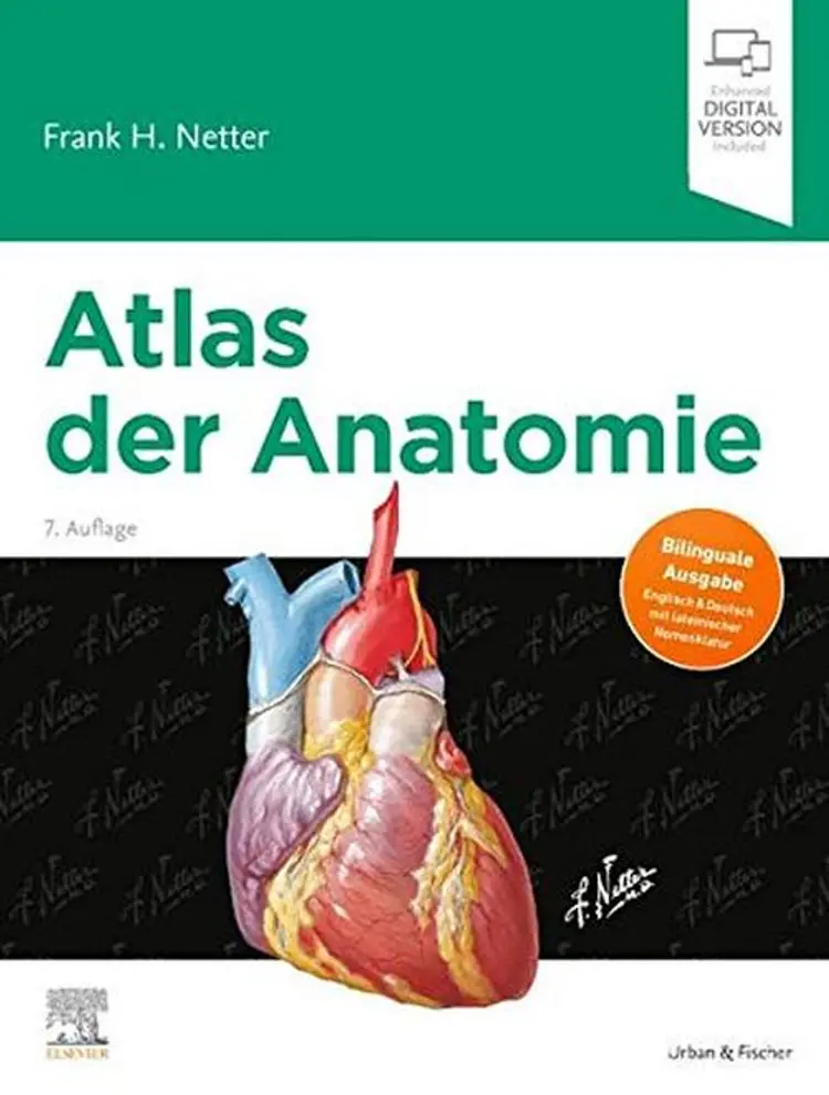 Atlas der Anatomie - Frank H. Netter af Frank H. Netter