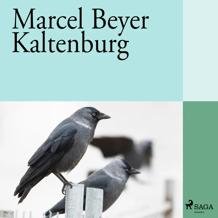 Kaltenburg af Marcel Beyer