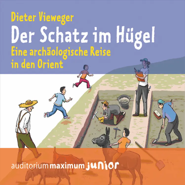Der Schatz im Hügel af Dieter Vieweger