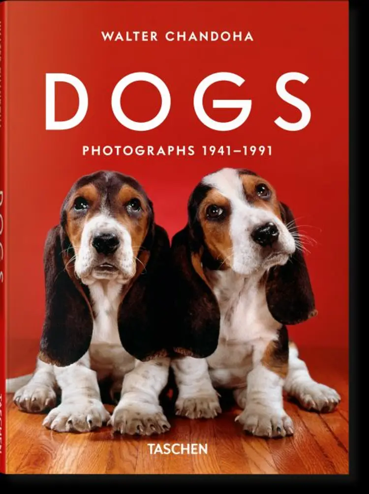Walter Chandoha. Dogs. Photographs 19411991 af Walter Chandoha