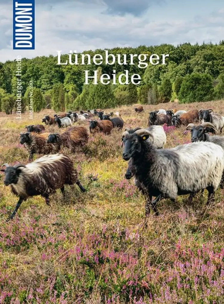 Lüneburger Heide af Sven Bremer