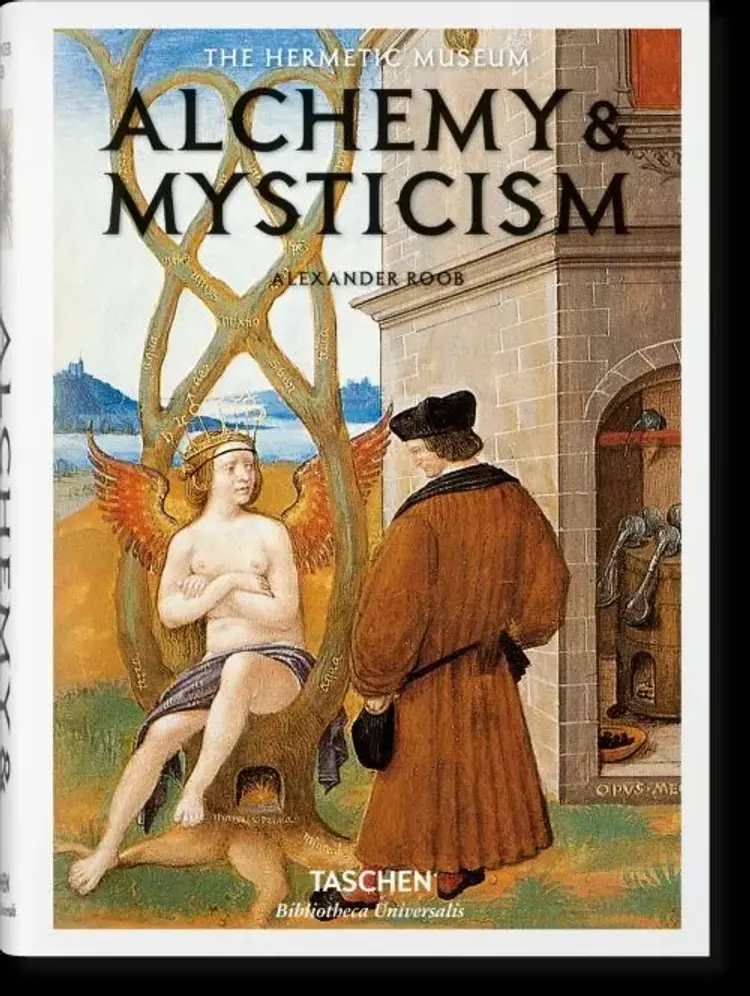 Alchemy & Mysticism af Alexander Robb
