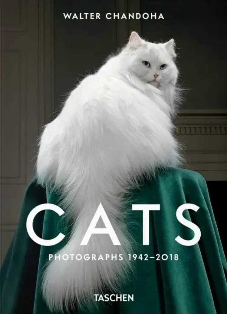 Walter Chandoha. Cats. Photographs 1942-2018 af Susan Michals