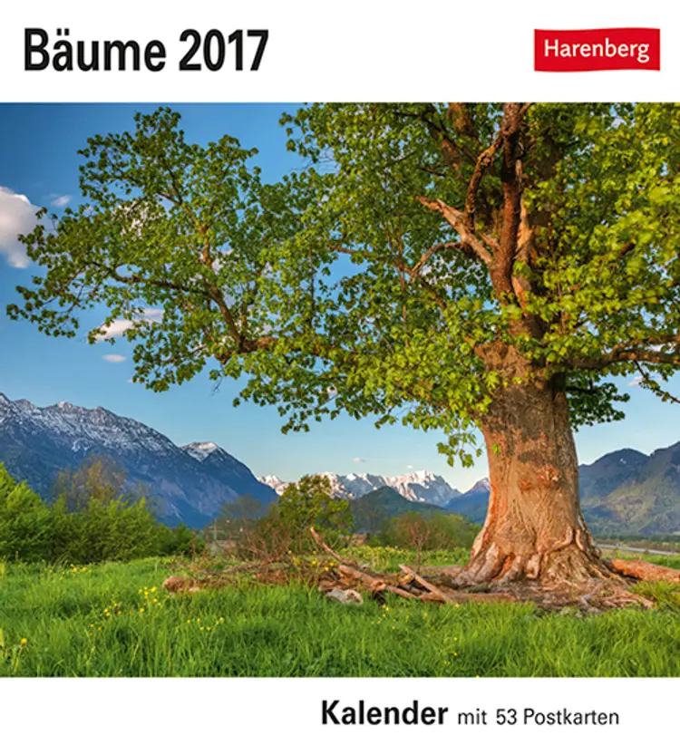 Bäume Postkortkalender 2017