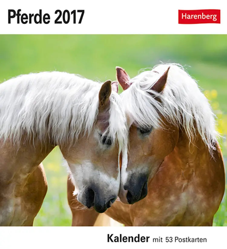 Pferde Postkortkalender 2017
