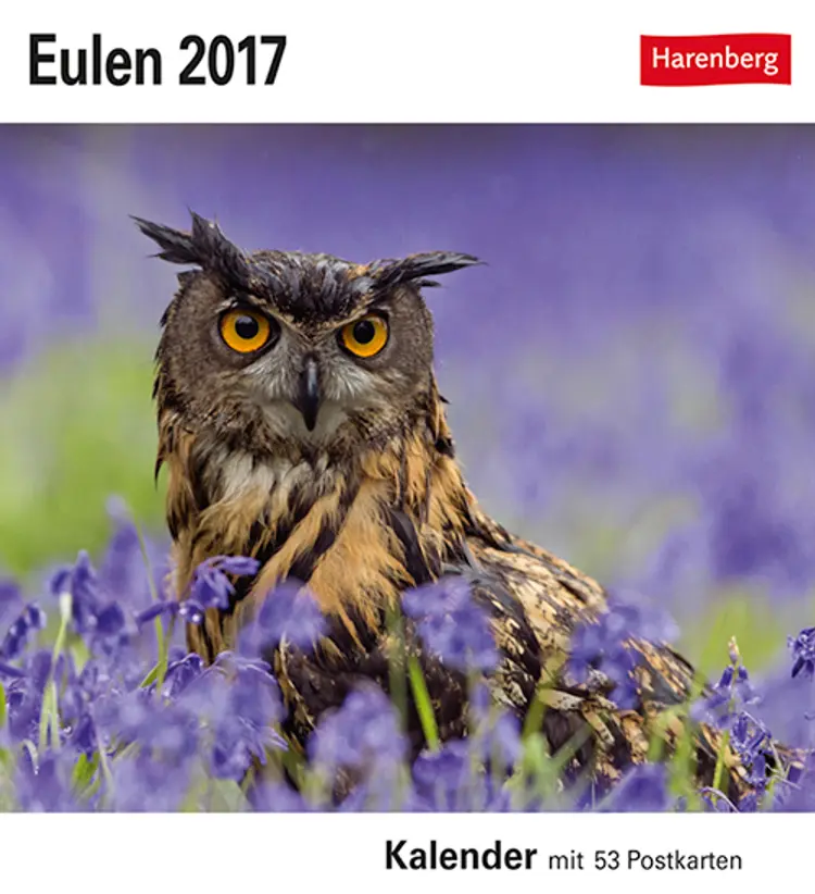 Eulen Postkkortkalender 2017