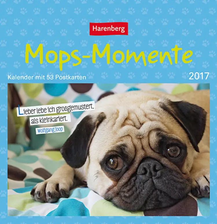 Mops-Momente - Pugs Premium-Postkortkalender 2017