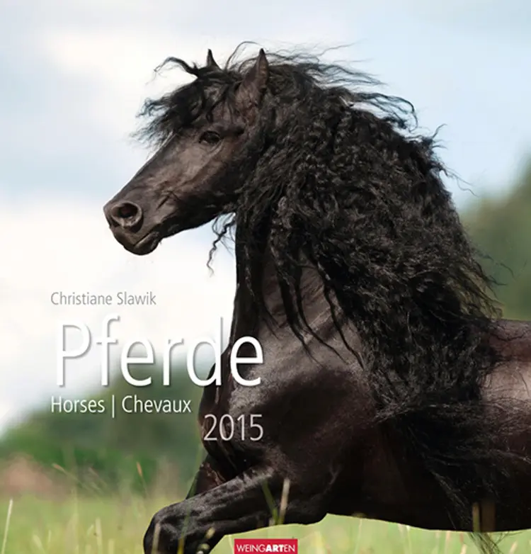 Pferde - Horses Calendar 2015