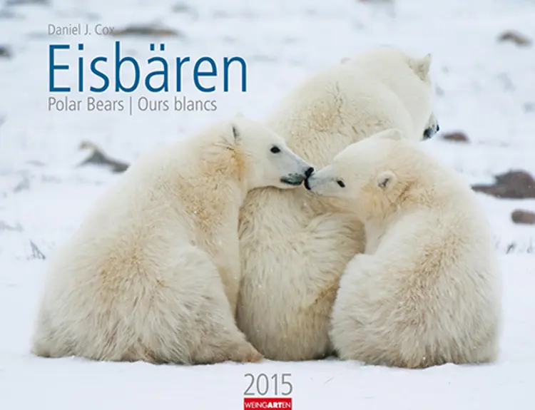 Eisbären - Polar Bears Calendar 2015