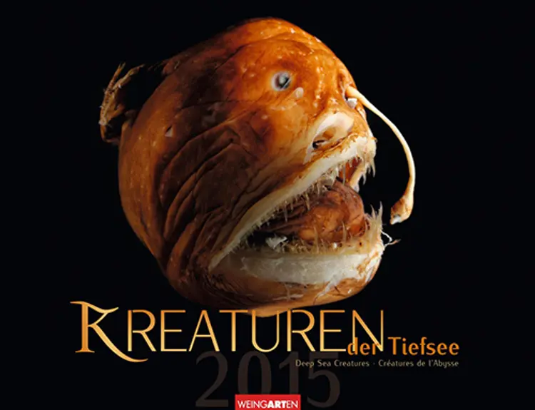 Kreaturen der Tiefsee - Deeå Sea Creatures Calendar 2015