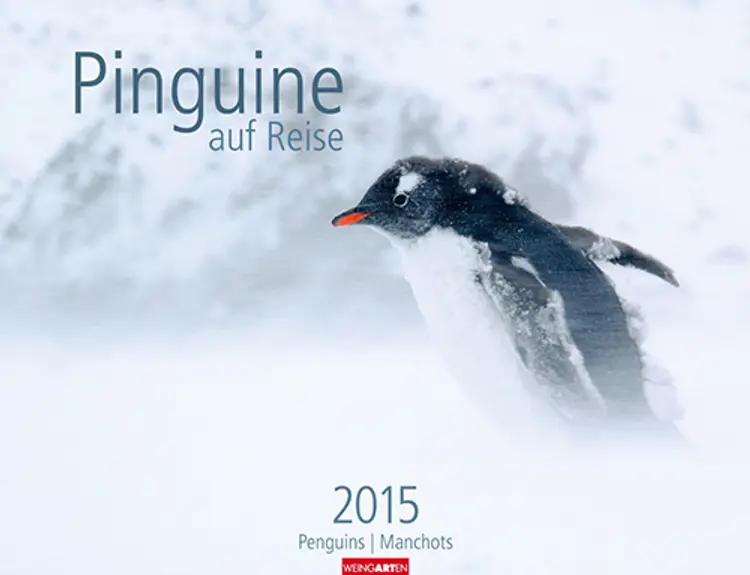 Pinguine auf Reise - Penguin Calendar 2015