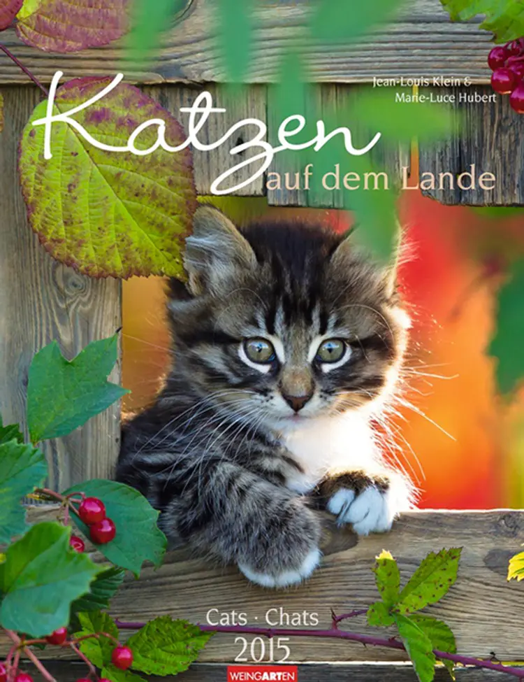 Katzen auf dem Lande - Cats Calendar 2015