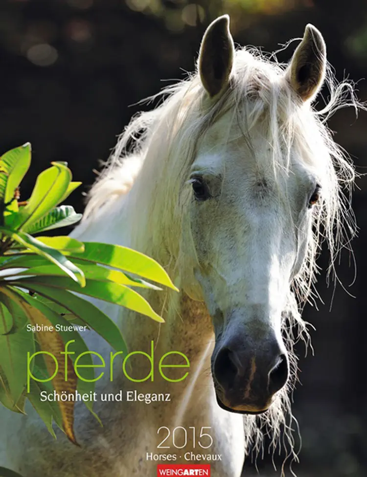 Pferde Schönheit und Eleganz - Horses Calendar 2015