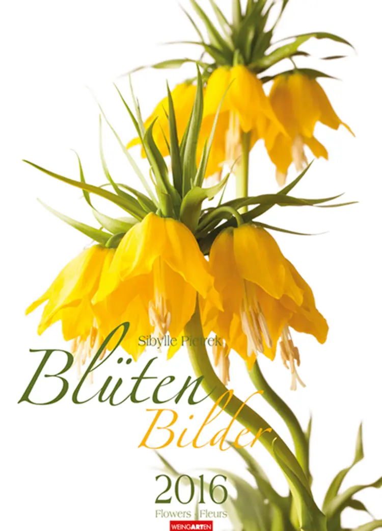 Blütenbilder