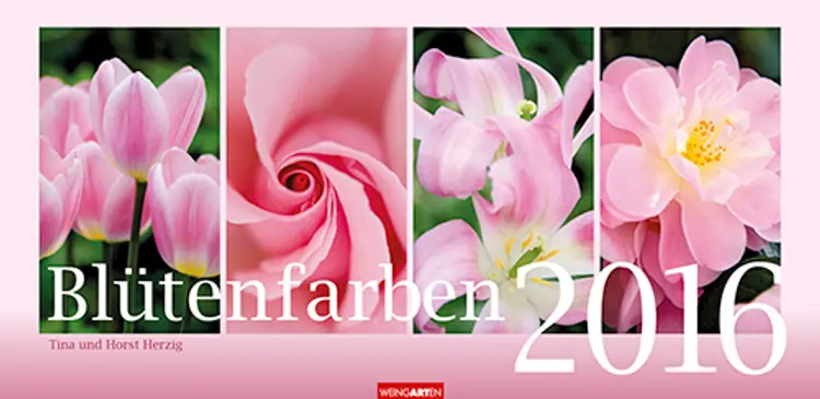 Blütenfarben 2016