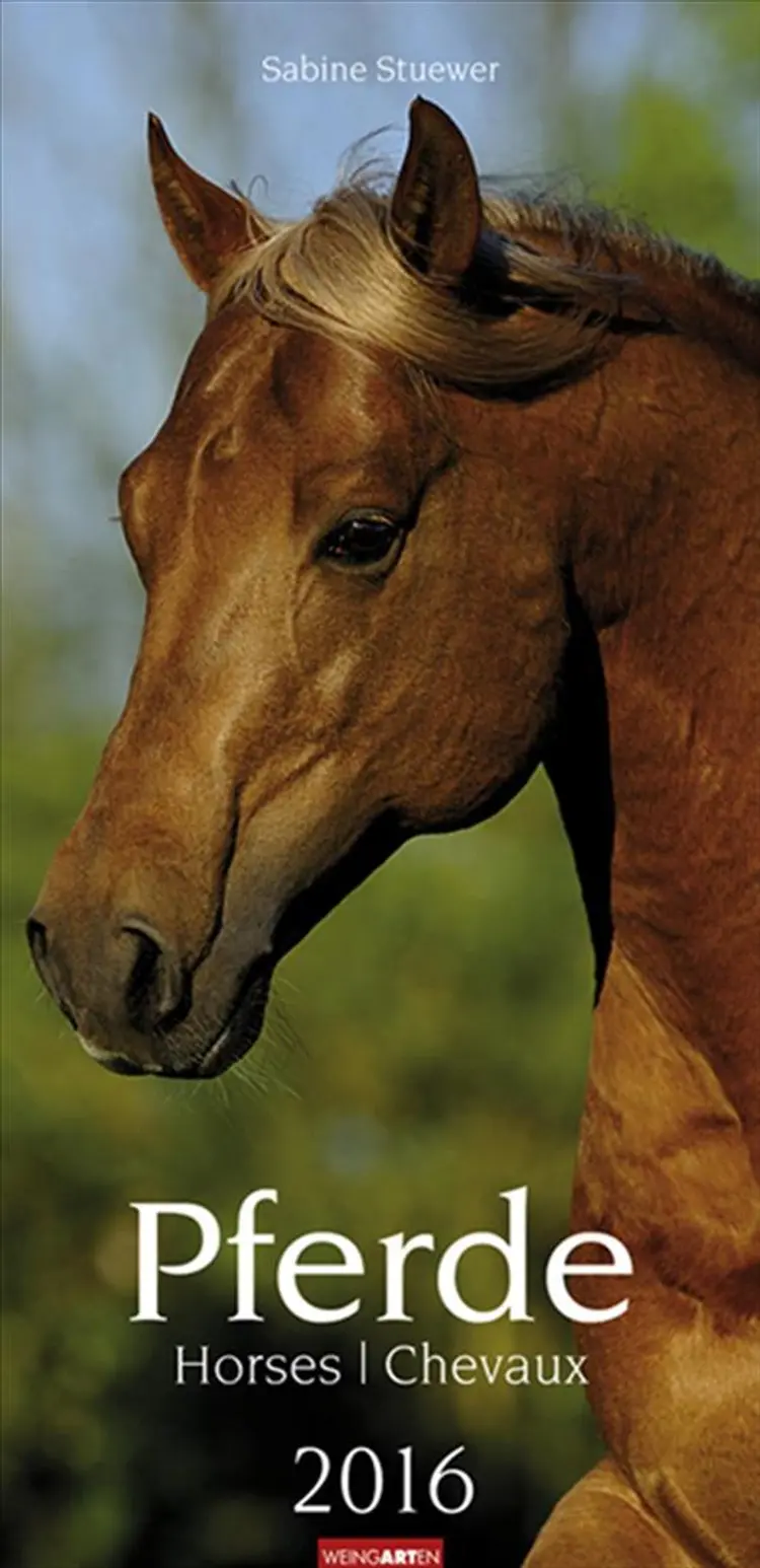 Pferde - Horses